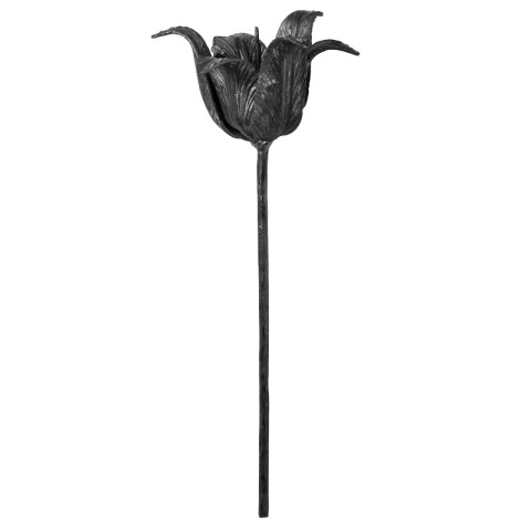 50.120 květ tulipán