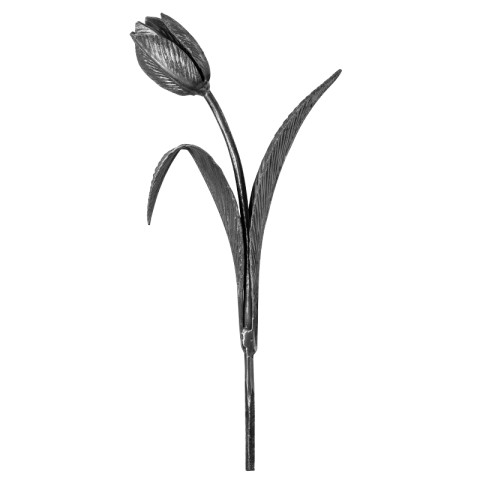 50.188 tulipán