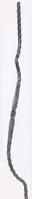 578/20 Šprušle balkónová čt. 14x14mm, H=1200m